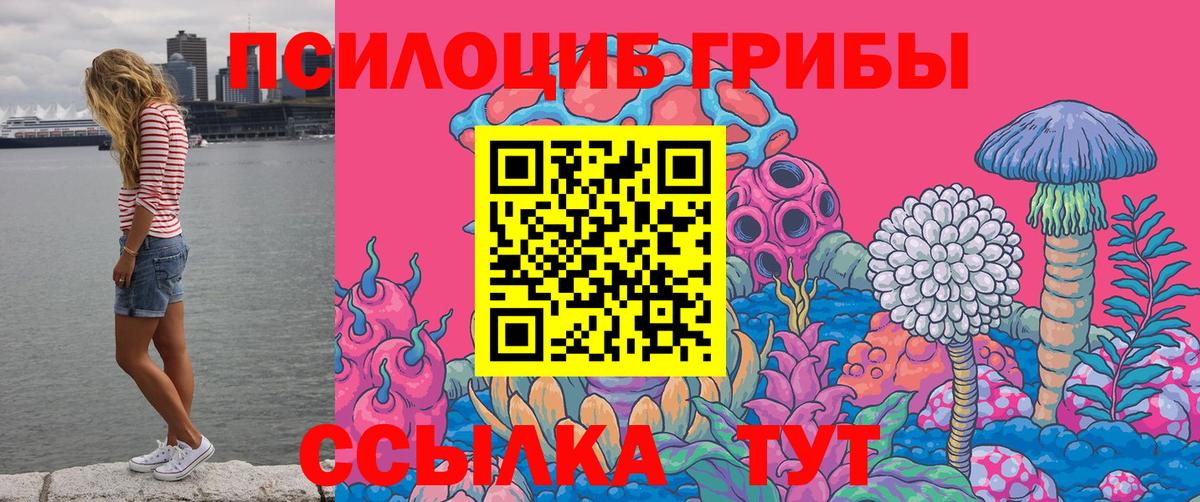 Галлюциногенные грибы прущие грибы  Галлюциногенные грибы прущие грибы  Вход с VPN  Донской 