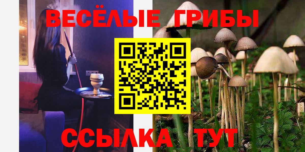 Псилоцибиновые грибы мухоморы Донской
